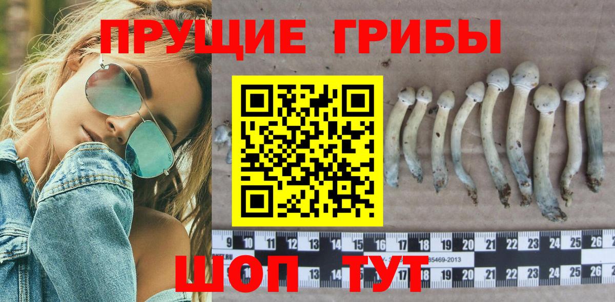 Псилоцибиновые грибы мухоморы  Вход с VPN  Таганрог 